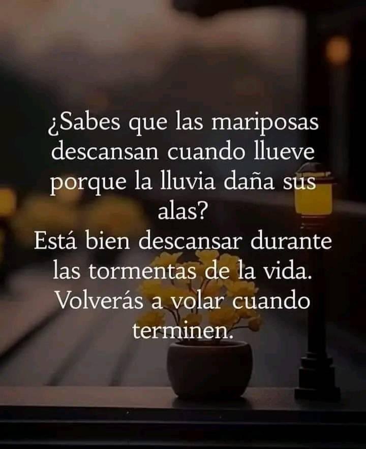 Buen inicio de semana 🩷