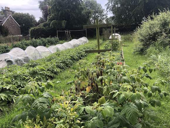 Good living and sleepy pups dlvr.it/T9c31D