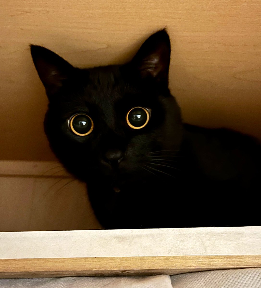 うに3才 tweet media