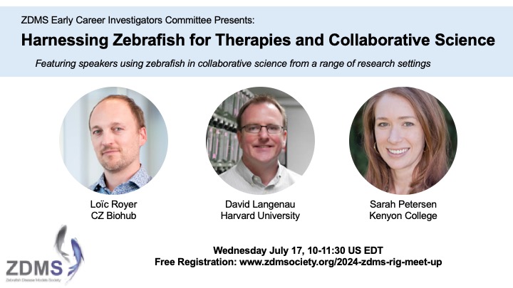Wade Sugden (@sugden_wade) on Twitter photo Happy Monday out there <a href="/ZDMSociety/">ZDMSociety</a>! 2 days left to register for our upcoming #zdmsECI webinar 'Harnessing Zebrafish for Therapies and Collaborative Science!' Free for members and non-members. See you Wed 10-11:30am EDT! zdmsociety.org/2024-zdms-rig-… Happy Monday out there <a href="/ZDMSociety/">ZDMSociety</a>! 2 days left to register for our upcoming #zdmsECI webinar 'Harnessing Zebrafish for Therapies and Collaborative Science!' Free for members and non-members. See you Wed 10-11:30am EDT! zdmsociety.org/2024-zdms-rig-…