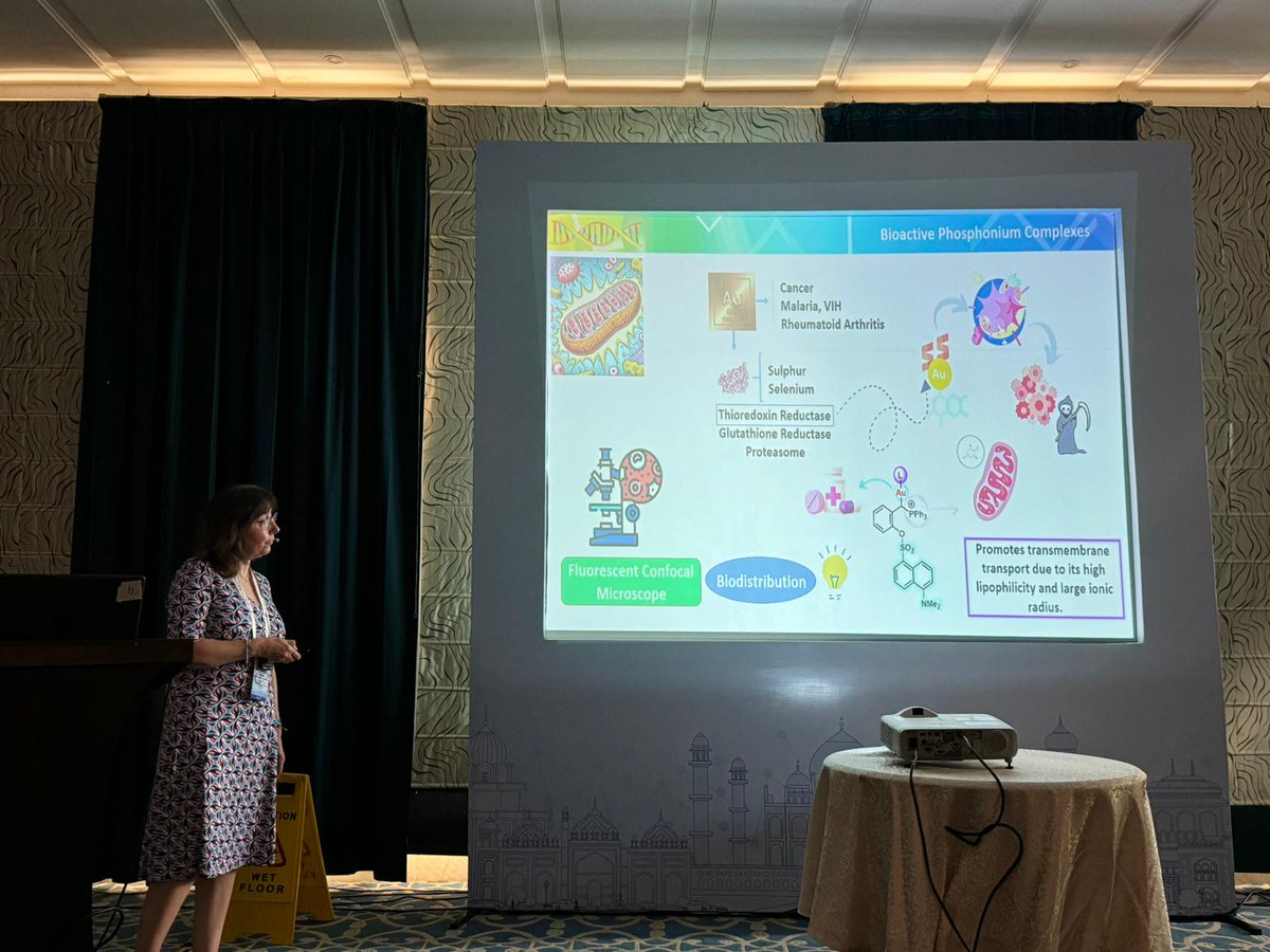 Herrera Group (HOCA) tweet media