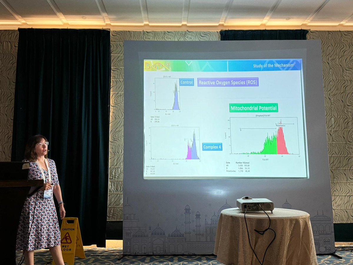 Herrera Group (HOCA) tweet media