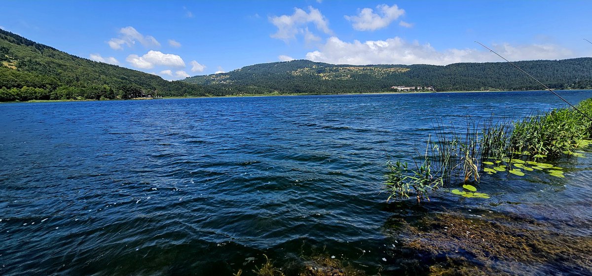 avebevecu's tweet photo. abant/bolu https://t.co/TjESy1tY1c
