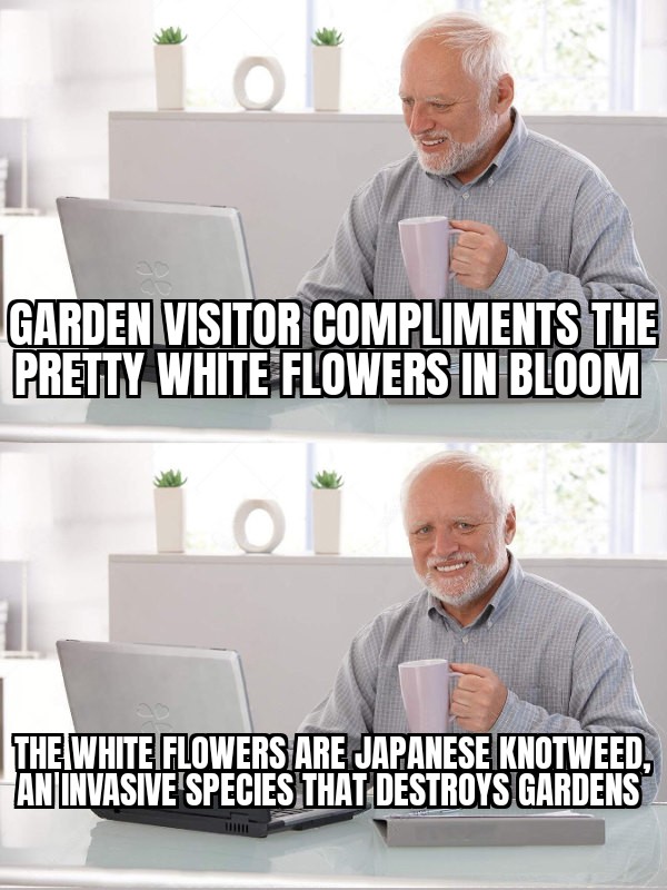 Egino Emerging tweet media