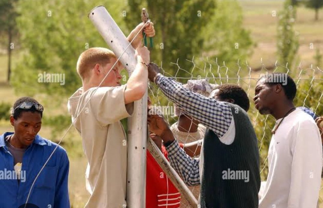 Snarky Guy tweet media