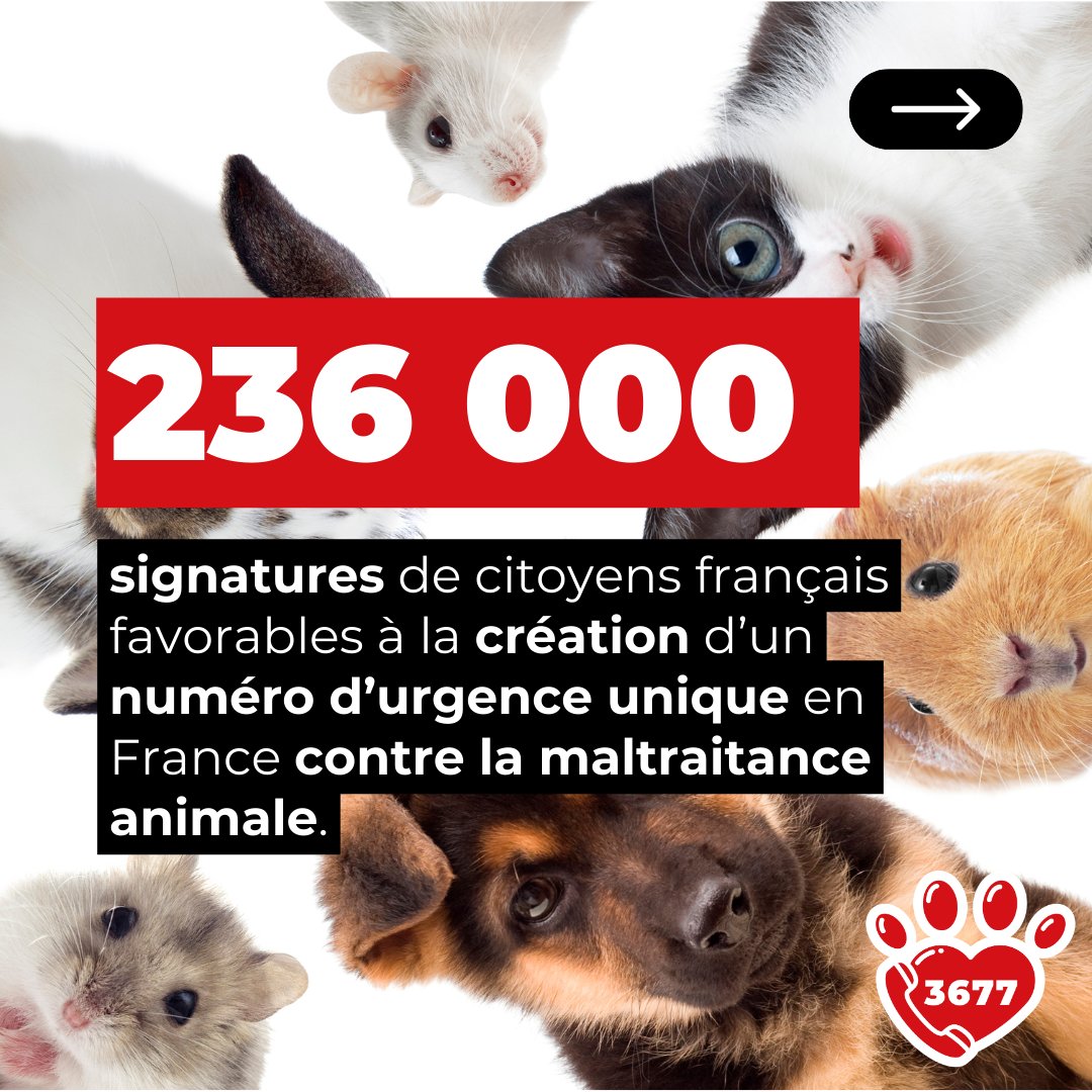 SOS Maltraitance Animale répond à une demande importante des défenseurs des animaux.
Une pétition en ligne a ressemblé 236 000 signatures de citoyens français favorables à la création d’un numéro d’urgence unique en France contre la maltraitance animale.
#SOSMaltraitanceAnimale
