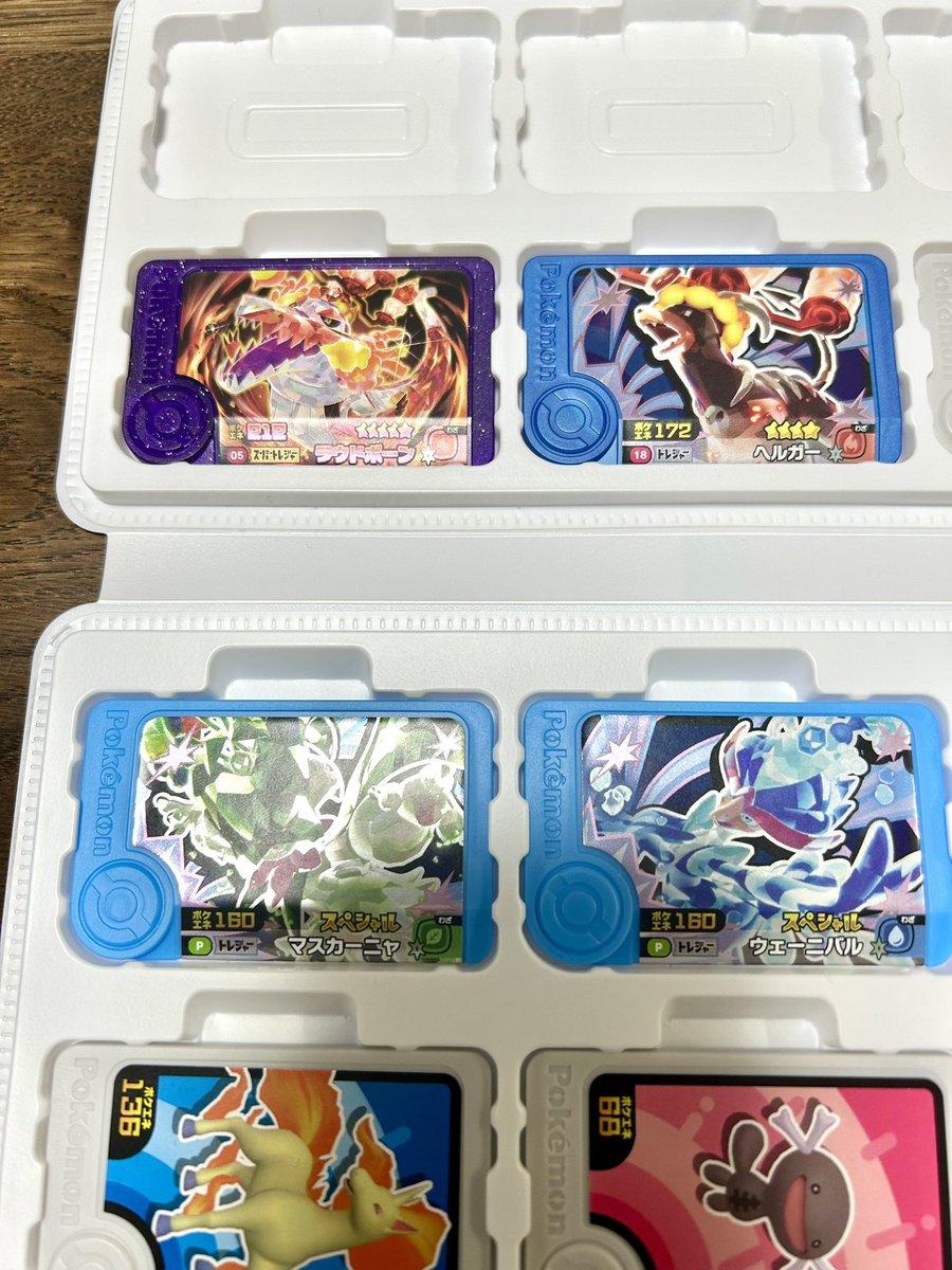 マシパパEX🐈‍⬛ tweet media