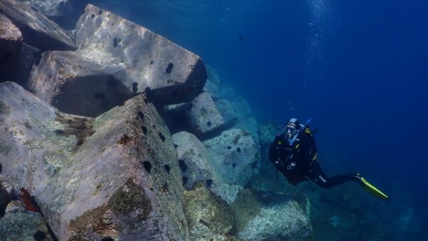 Os mostramos la ilustración de agosto de nuestro calendario #ISM relativa a la #investigación sobre desiertos marinos causados por pérdida de #biodiversidad, tomada en #Palamós #Girona por <a href="/jordiocean/">Jordi Boada</a> que pertenece a un equipo de investigación de ecología marina del <a href="/ceabcsic/">CEAB-CSIC</a>.