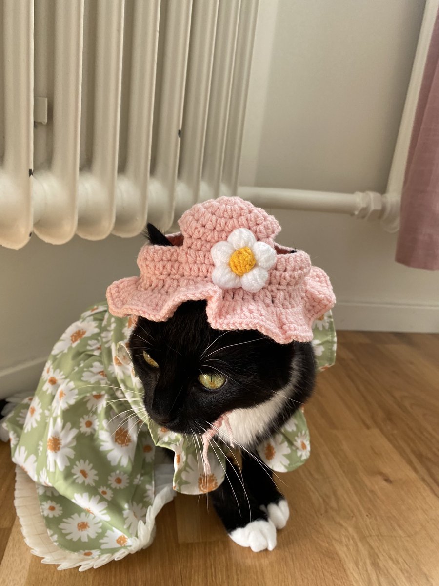 wingsofthv's tweet photo. i bought my child a dress what do we think https://t.co/50B81TokMz