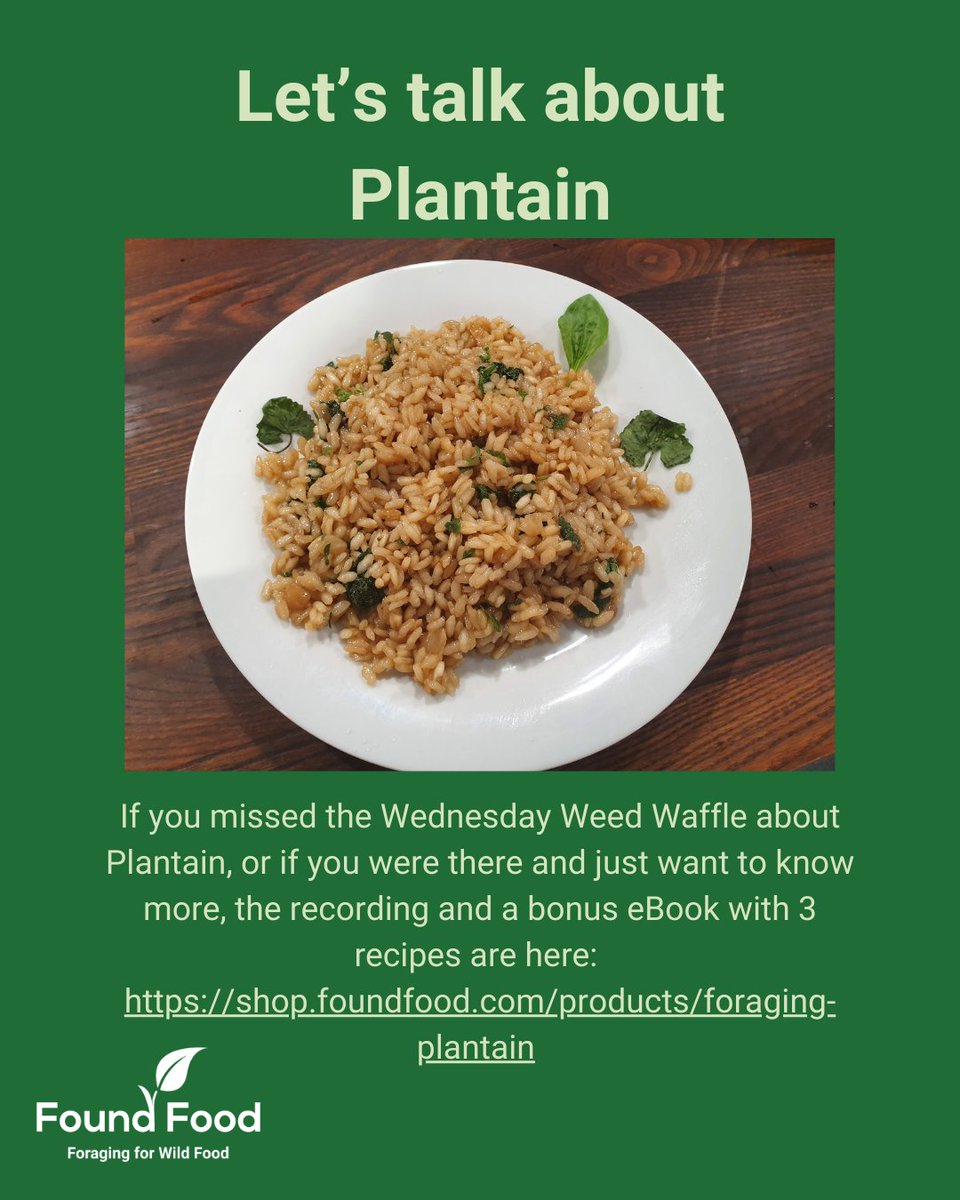 FoundFoodUK's tweet photo. If you missed the Wednesday Weed Waffle about Plantain, or if you were there and just want to know more, the recording and a bonus eBook with 3 recipes are here:
https://t.co/oII36TqT4U
#plantain #plantagomajor #plantagolanceolata #FoundFood #wildfood #foraging https://t.co/S2rh6jOvrZ