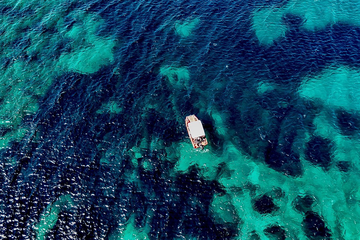 EMBLtrec tweet media