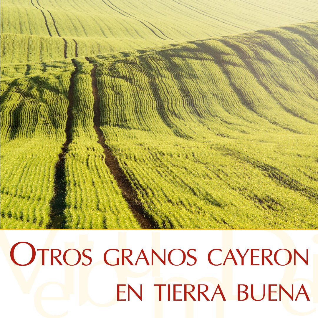 #24deJulio ¡Muy buenos días! En este miércoles de la XVI semana del Tiempo Ordinario, compartimos el #EvangelioDeHoy según san Mateo, Mt 13, 1-9. Puedes leerlo aquí: vaticannews.va/es/evangelio-d…