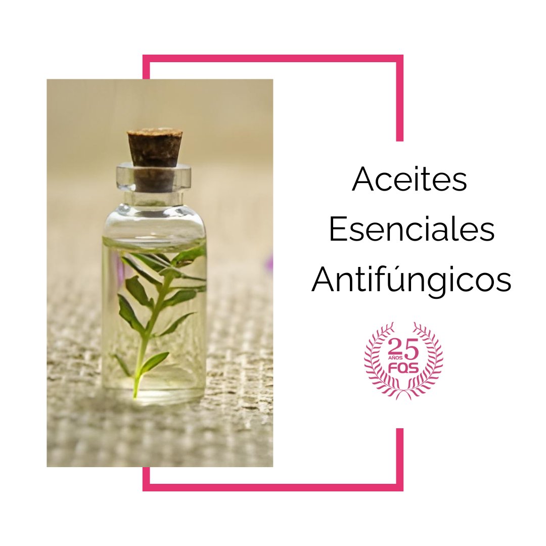 𝗔𝗰𝗲𝗶𝘁𝗲𝘀 𝗲𝘀𝗲𝗻𝗰𝗶𝗮𝗹𝗲𝘀 𝗮𝗻𝘁𝗶𝗳𝘂́𝗻𝗴𝗶𝗰𝗼𝘀 

👉🏼 Hoy hablamos sobre las alteraciones que se produce en las uñas debido a la invasión de hongos, y los secretos de los aceites esenciales en relación con sus propiedades.

¿Le interesa?  farmaquimicasur.com/aceites-esenci…