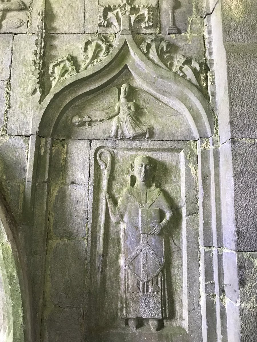 Stephanie Woods tweet media