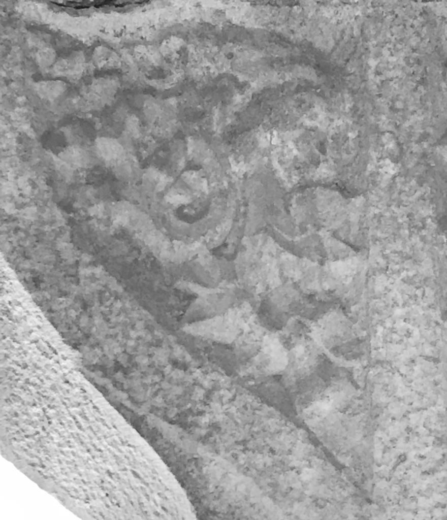 Stephanie Woods tweet media