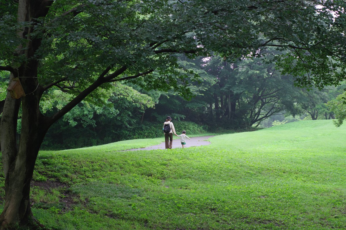 breaktop2's tweet photo. 連休最終日も雨が降ったりやんだりの天気になりました
#PENTAX #pentaxk3mkiii #fa43
#所沢航空記念公園 https://t.co/yJdx4y7MuK