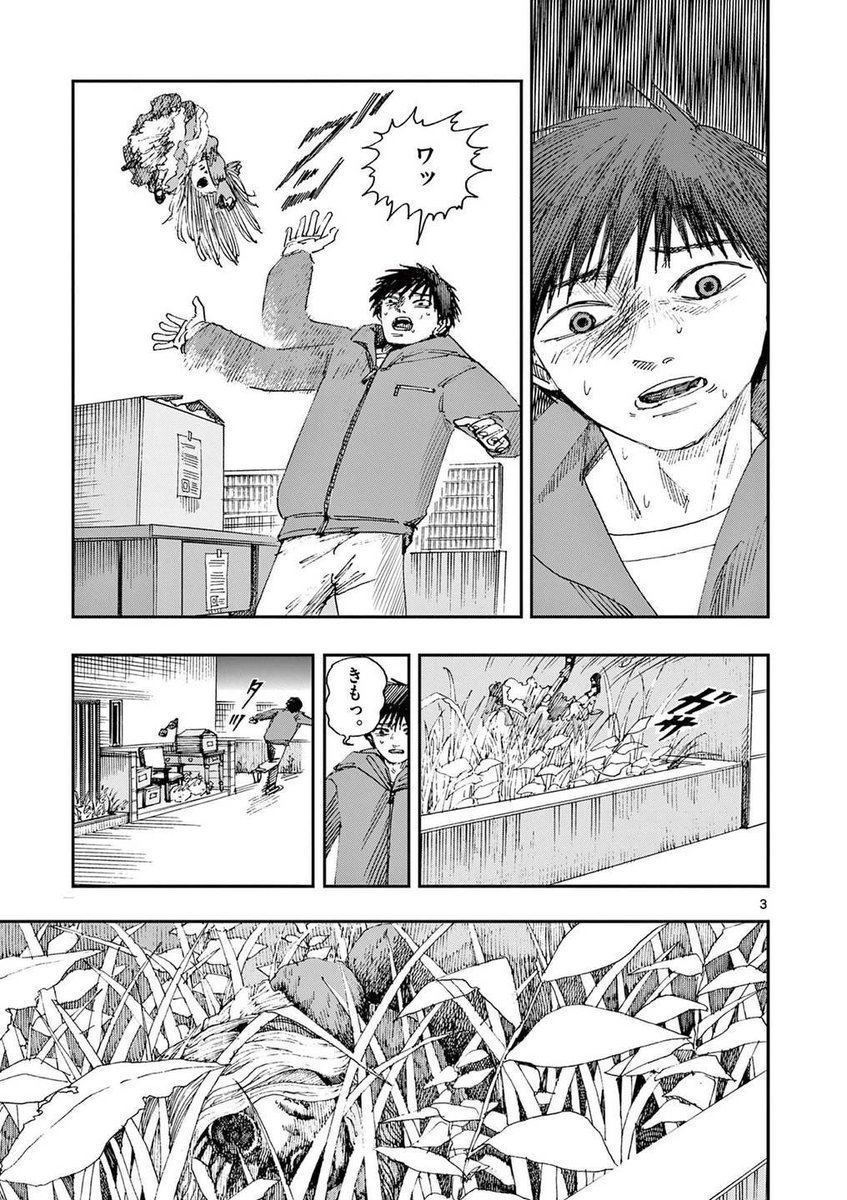 その人形を見たら、即逃げるべき理由。
※ホラー漫画です(2/4) 