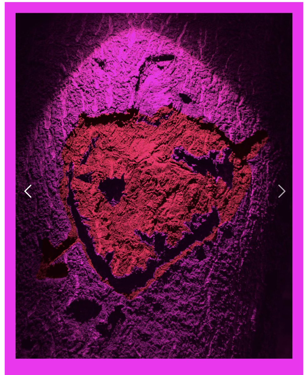 Hobs Repro tweet media