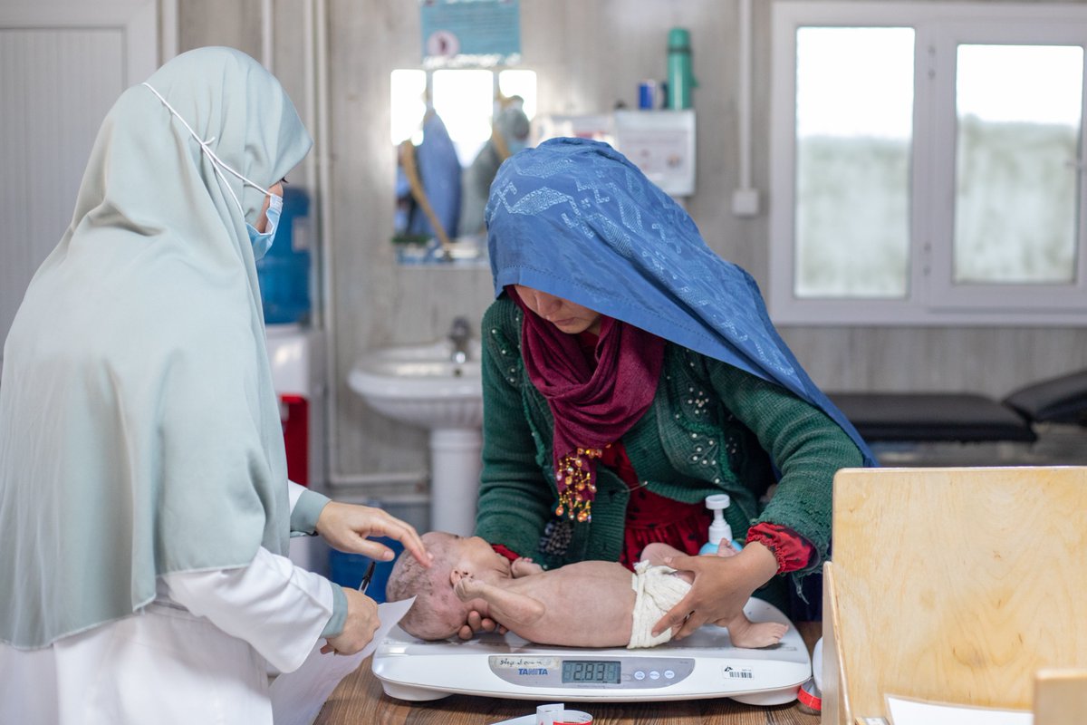 MSF_Afghanistan's tweet photo. Many diseases &amp; medical conditions such as #malnutrition are often identified late and patients are in a worse condition when admitted to hospital. In 2023, @MSF malnutrition projects in Herat, Helmand and Kandahar admitted over 10,400 children with severe acute malnutrition. https://t.co/TpP92t4ipy