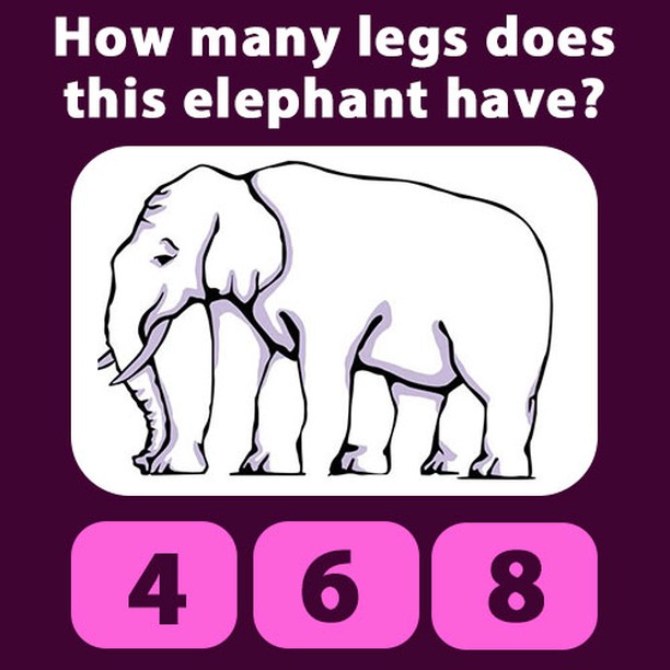 🐘 Discover the 