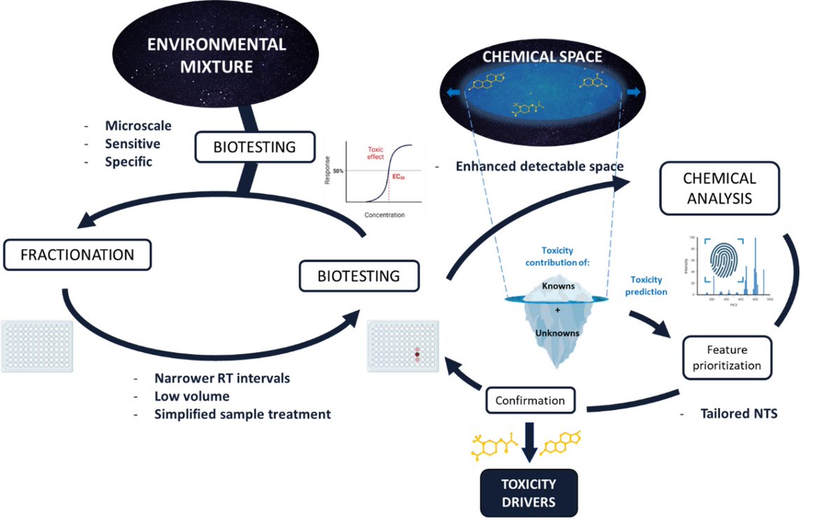 IAlvarezMora's tweet photo. Our latest review on High Throughput Effect-Directed Analysis is now online. It's been a pleasure to coordinate this work of @NORMAN_network 's WG3 and Task 4.3 of @PARC_chemicals 
https://t.co/mJLO77agTy https://t.co/h2OR3fFfFj