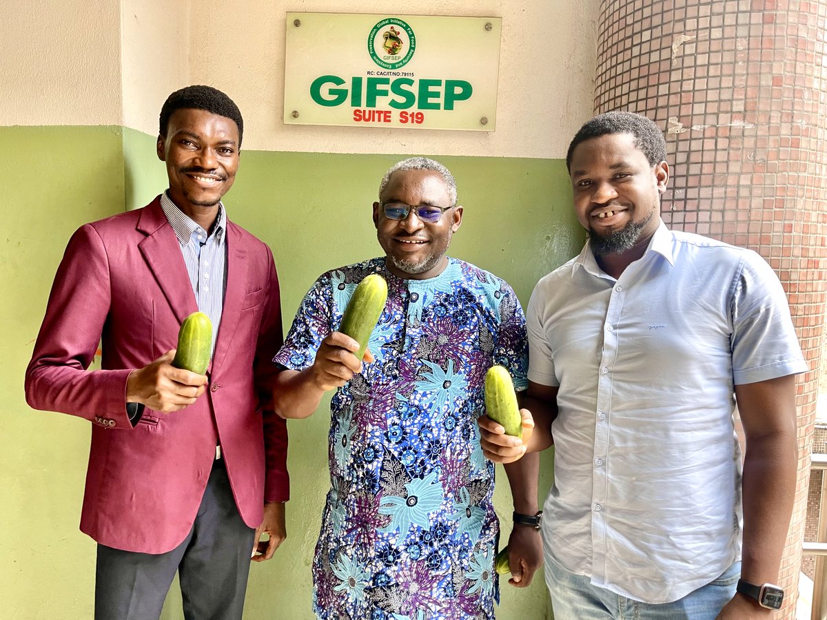 gifsep4climate's tweet photo. From GIFSEP organic Farmer. #UrbanFarm
Operation Feed Yourself 
#OperationFeedYourself
Support small holder farmers 
#BuyLocal
#OrganicFarming 
@miketerungwa 
@joeibro 
@tundemolayan https://t.co/46zSAolzaU