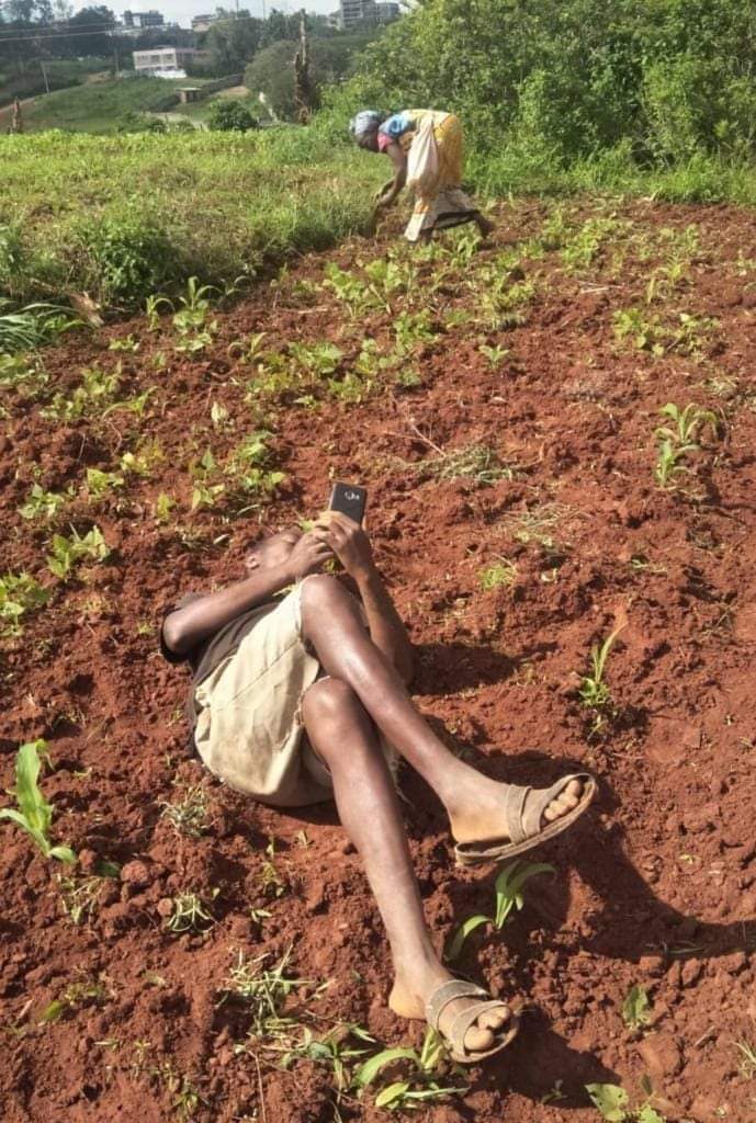 lenny_papito's tweet photo. A Gen Z takes a break from tilling his mother's farm to check his messages for the Ford Foundation weekly Maandamano Stipend ahead of countrywide protests against the inept Regime of William Ruto. The embattled Kenyan President has blamed Ford Foundation for his poor leadership that has led to protests calling for his resignation. (Image from Sources) #RutoMustGo