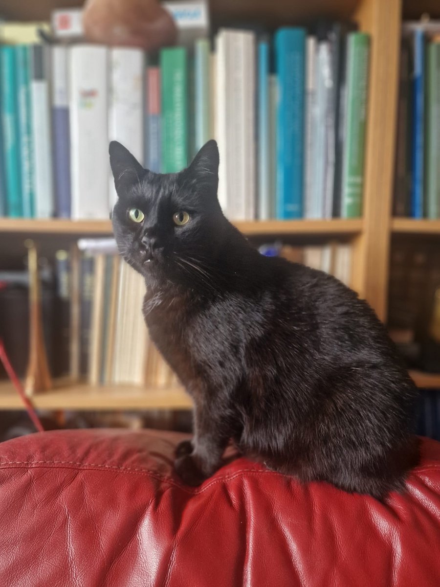 Robert M Chapple tweet media