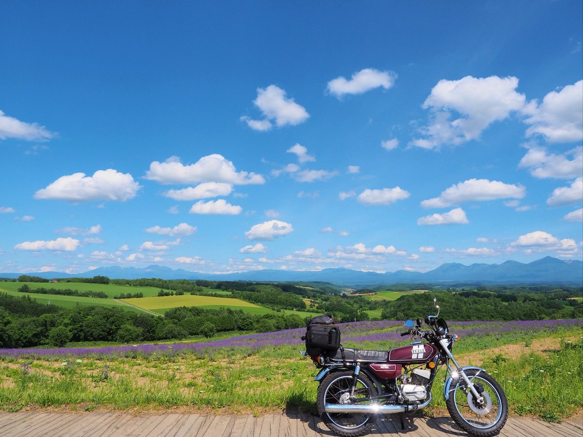Elegano0's tweet photo. 浜頓別~中頓別~名寄~士別~比布(力尽きる)~旭川~美瑛~上富良野~中富良野(大渋滞)~深山峠(ラベンダーと大雪山)~富良野(キカラシの花畑と十勝岳)
キカラシ、見頃です🌻
上川留萌宗谷を巡る840kmの旅、無計画が楽しいB型(疲労と日焼け)
#プチツーリング #RD90 #Elecub #キカラシ https://t.co/rtbJbXNElM
