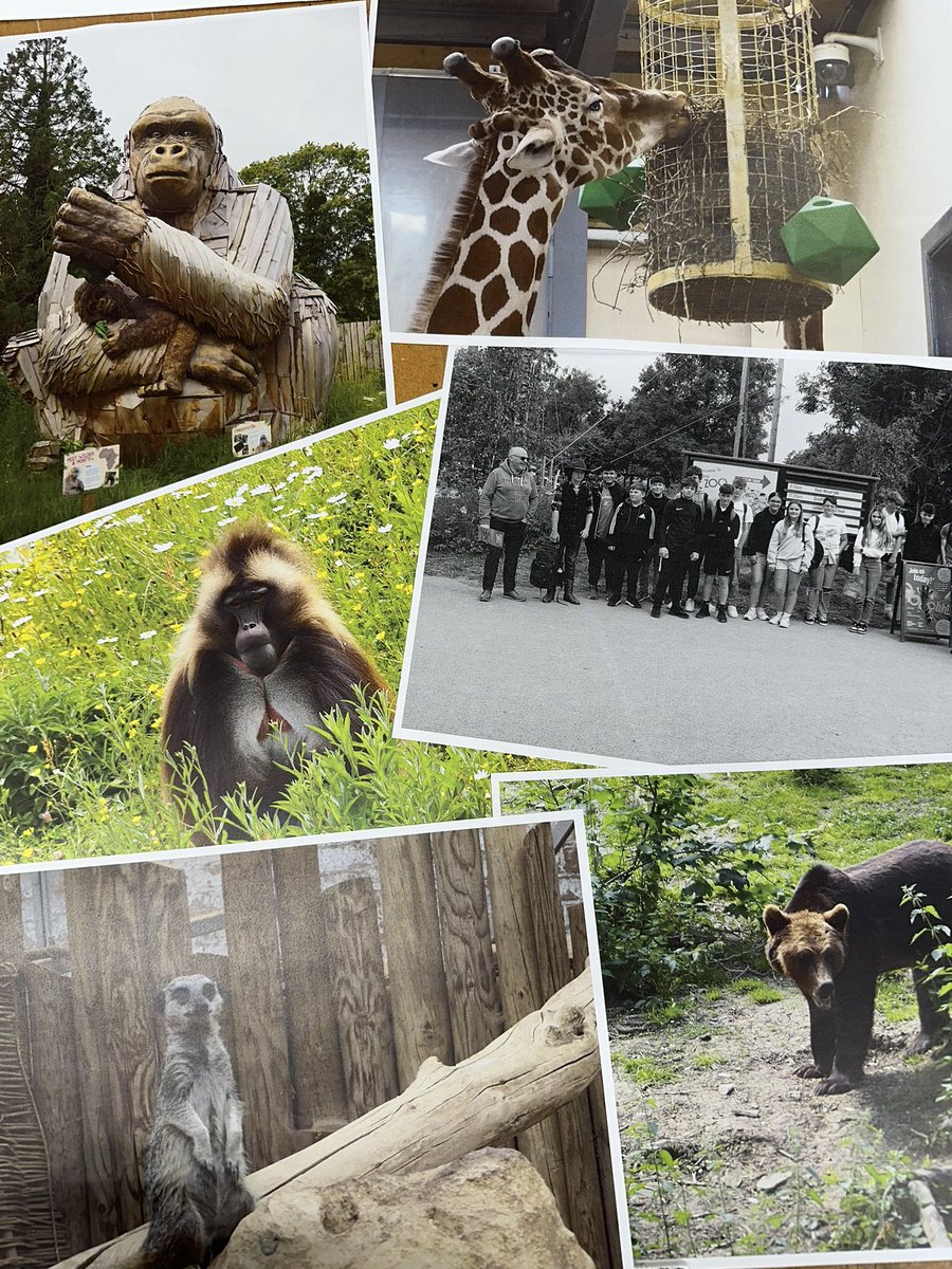 StanwellDT tweet media