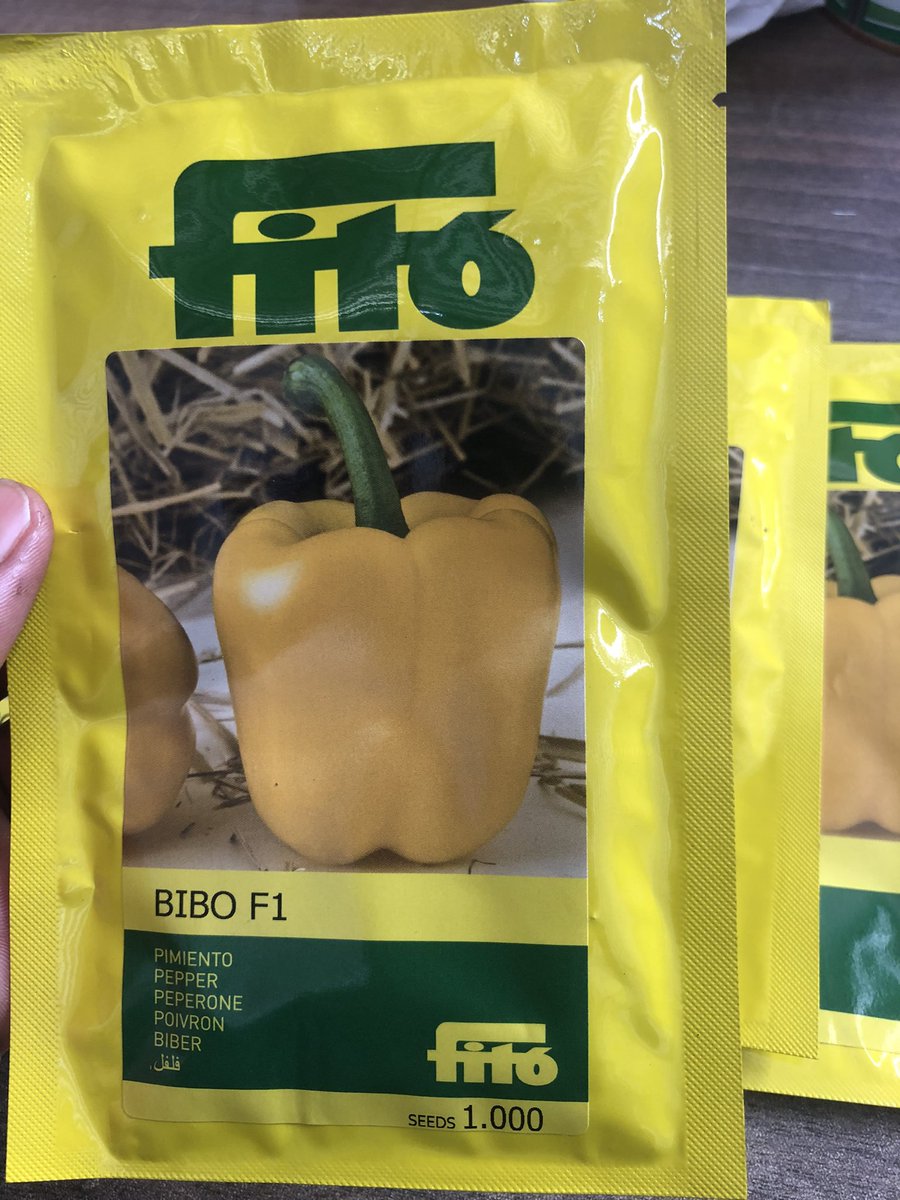 kalebndolo's tweet photo. We don’t just offer you propagation services but help you source #superiorseeds from direct from the company free of charge!
#bibof1
#yellowbell https://t.co/0du0uiWBKw