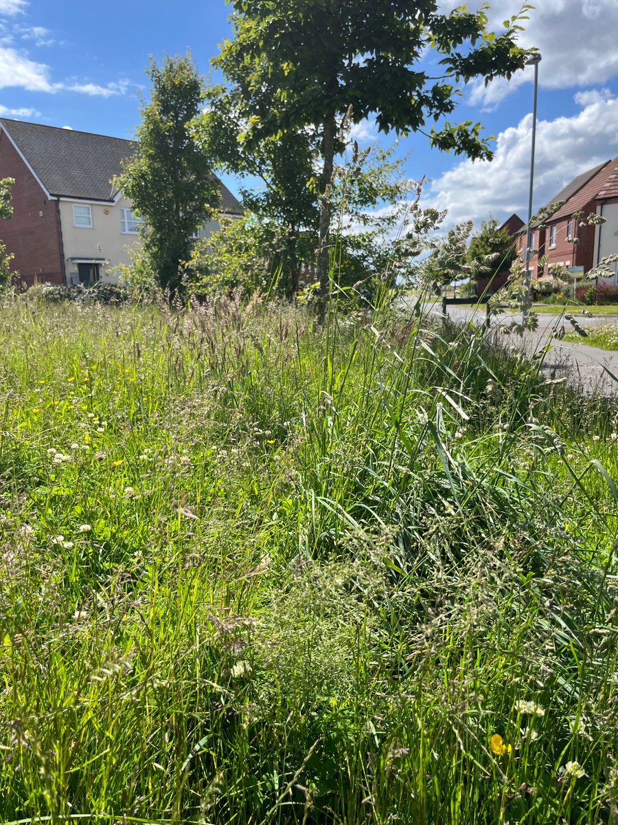 Claire McClean tweet media