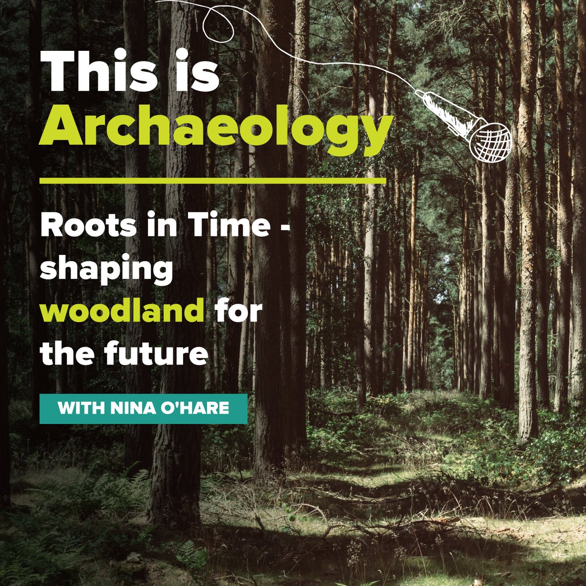 🌳✨ Join us for our second #FestivalOfArchaeology "This is Archaeology" lecture: "Roots in Time - Shaping Woodland for the Future" with Nina O'Hare, exploring the site's stories and how archaeology can help address climate change. 

Book now👉 archaeologyuk.org/get-involved/e…