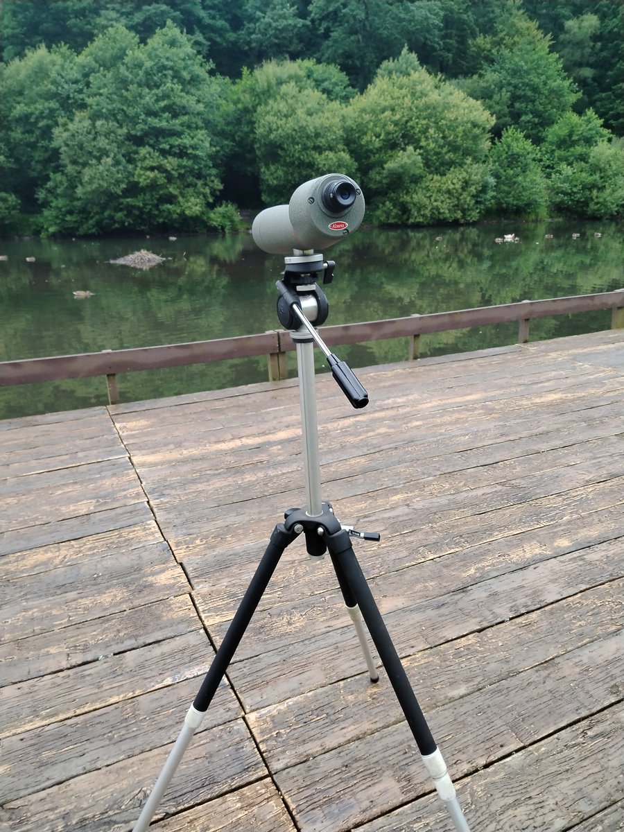 AilinKee's tweet image. Hv just picked up an old @KowaOptics &amp;amp; Slik tripod courtesy of the family of a birding enthusiast, Brian Thomas who sadly, passed away recently. Many thks to them, many more children &amp;amp; families will now be able to get up close to nature. #natureconnection #natureupclose