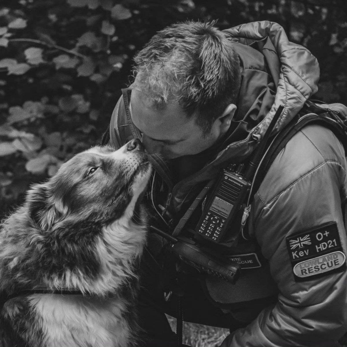 HERO PAWS tweet media