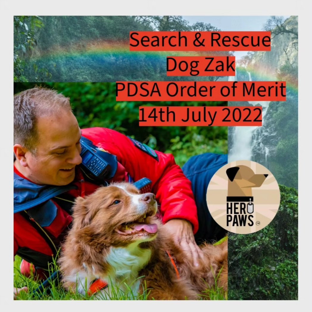 HERO PAWS tweet media