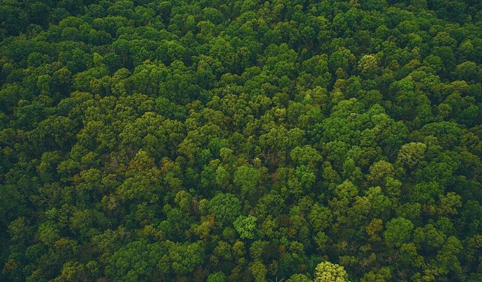 Dr Matthew Clark (<a href="/MattCScience/">Matt Clark</a>) from <a href="/IC_CEP/">Centre for Environmental Policy, Imperial</a> &amp; Dr Adam Sykulski (<a href="/ASykulski/">Dr Adam M Sykulski</a>) from <a href="/ImperialMaths/">Imperial_Maths</a> are using advanced remote sensing to study deforestation in Nepal 🇳🇵

They aim to predict how extreme weather will impact forests, moving towards proactive conservation strategies