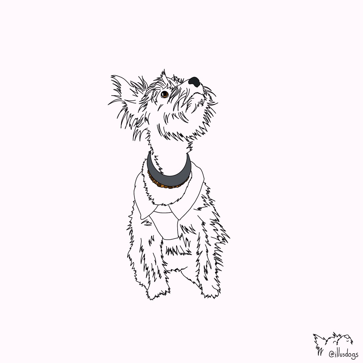 Illustrated Dogs tweet media