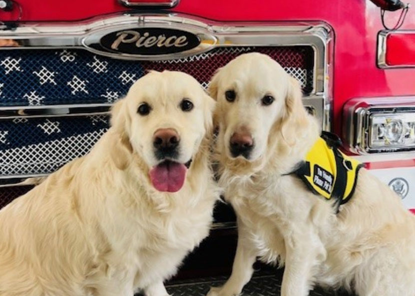 PierceMfg's tweet photo. Happy #NationalPetFireSafetyDay 🐾

🚨 Reminder: Include your furry family members in your family emergency plan.

Therapy dogs, Flora and Ava look✨golden✨on the front bumper of Sandy City Fire Department’s fire truck in #SandyUT. 🐕‍🦺 https://t.co/AnNXWHZyem