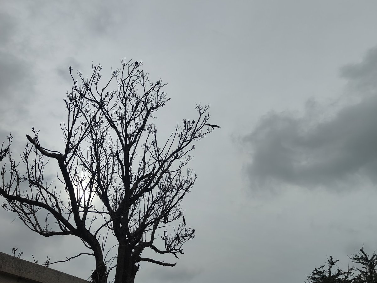 lukmtweeting's tweet photo. Haunts of greener pasts.. https://t.co/RVpQnEWKbY