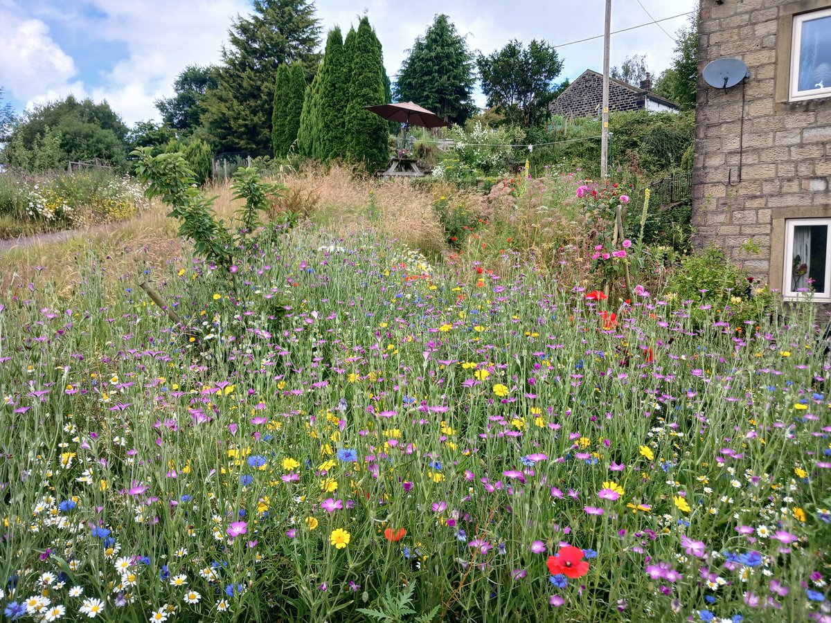 Melvin Burgess tweet media