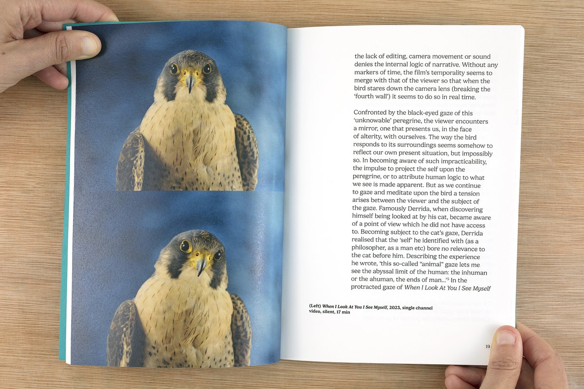 Daniel & Clara tweet media