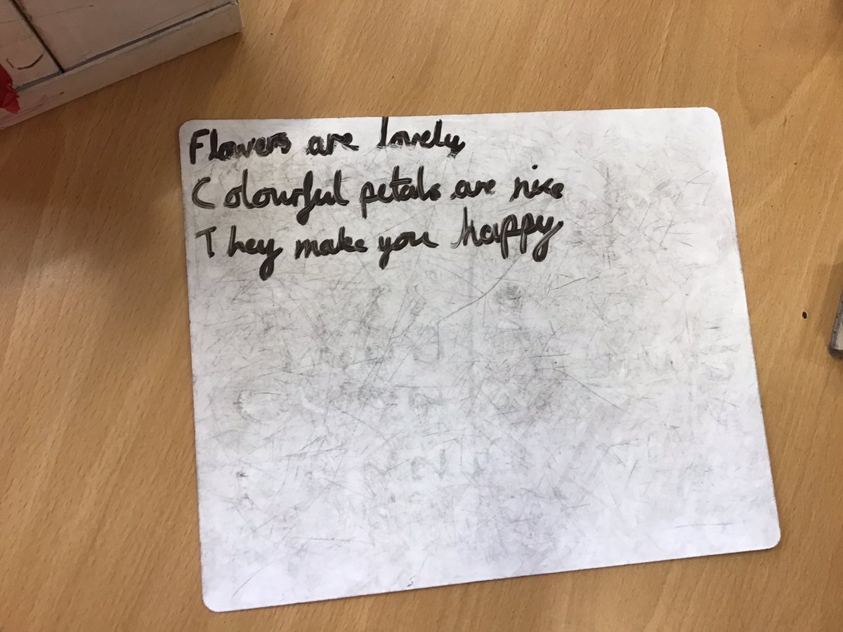 Y3Oaky's tweet photo. Check out these first attempts at writing our own haiku poems. #OakyPoems https://t.co/CJjZFcM267