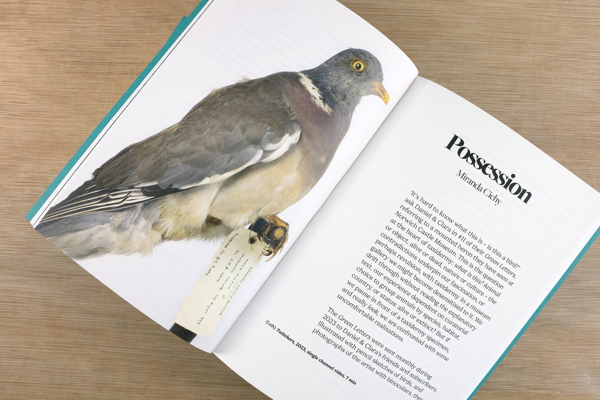 Daniel & Clara tweet media