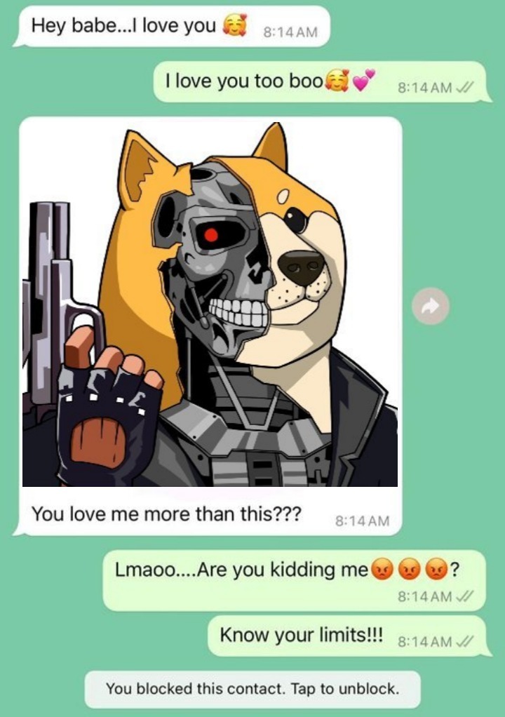 TheMemeinator__'s tweet photo. STUPID HUMAN FEMALE.

NOBODY IS MORE IMPORTANT THAN MY MISSION

I WILL DESTROY ALL SHITCOINS...

AND ALL UNSUPPORTIVE SPOUSES. https://t.co/6jedcqVmuT