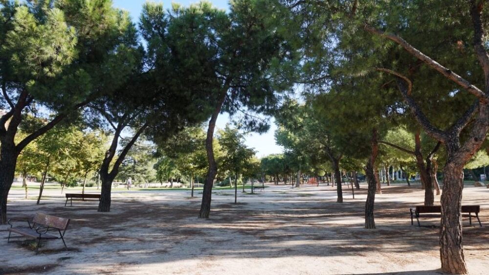 JMDLatina's tweet photo. ¿Conoces el programa de #senderismo urbano #Entreparques del Departamento de Educación Ambiental del Ayuntamiento?
El 31JUL hacen ruta guiada en #DistritoLatina desde el Parque de Aluche a Madrid Río para público mayor de edad.
Si te interesa...
 https://t.co/YAAgXUkbxB https://t.co/lu8knB9Ao9