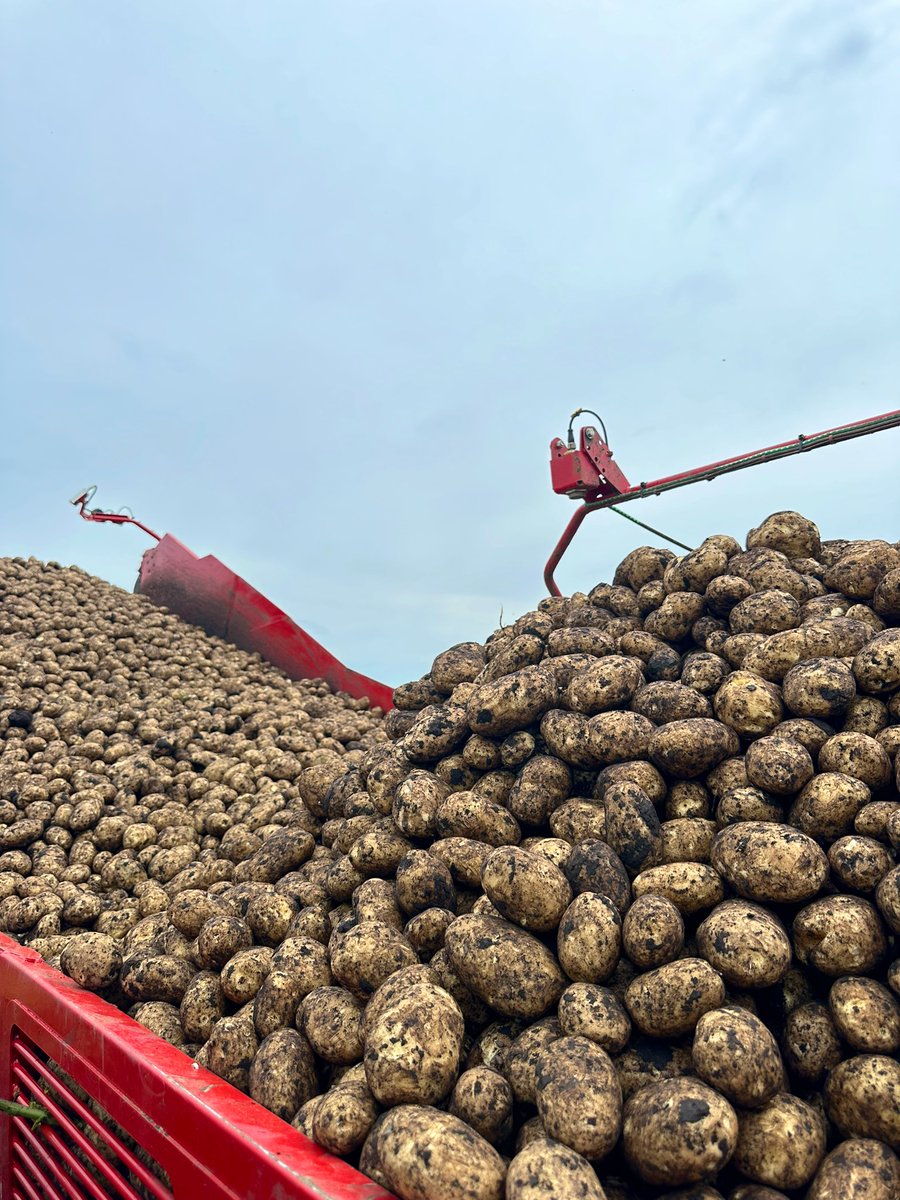 Oliver Dennis tweet media