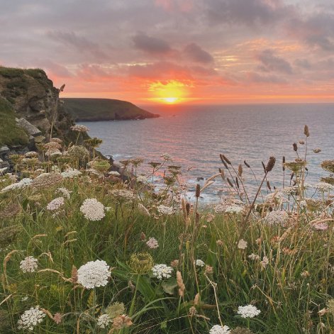 NTSouthWest's tweet photo. Ending your week with this dreamy #sunset over Hellโs Mouth ๐งก
#NationalTrust #MidCornwall #MomentOfCalm #SundaySunset #MomentOfPeace #EveryoneNeedsNature #CoastalSunset #CoastalViews #Wildflowers #SouthWestCoastPath #SWCP #LoveCornwall #VisitCornwall https://t.co/XO6Hq4AzTh