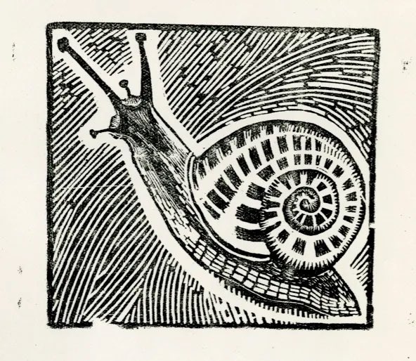 DecoratingDissidence tweet media