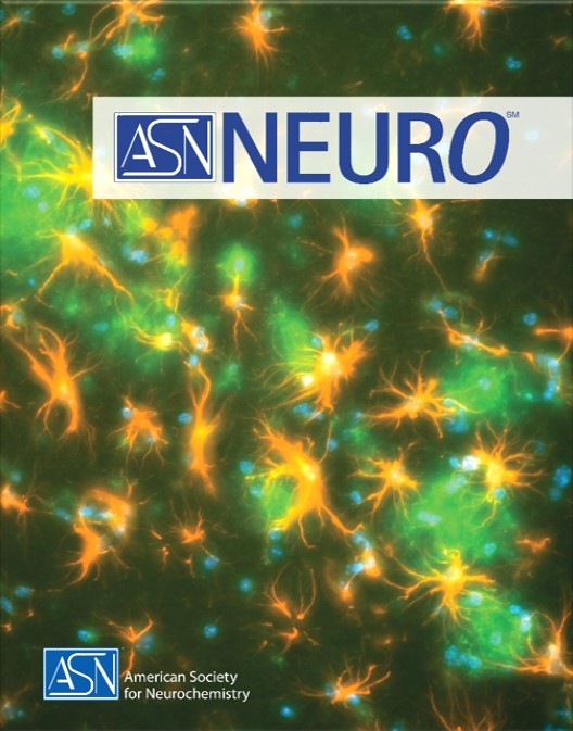 tandfmedicine's tweet photo. Today we are welcoming ASN Neuro to the T&amp;F Neurology journals portfolio! 🥳
https://t.co/9D8yG5IReX 
@ASNeurochem #ASNeuro https://t.co/pyyWOJbbpM